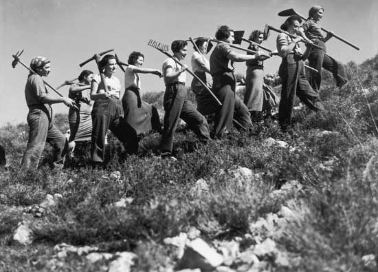 avraham malavsky, to work, 1937, jnf archive