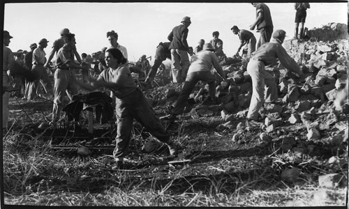 avraham malavsky,  ''settling day  joint effort'', kfar rupin, 1938, jnf archive
