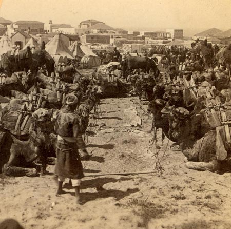 On the way to Mecca,stop in Jaffa, 1900