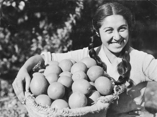 josef schweig, young woman with a basket of oranges, 1935, jnf